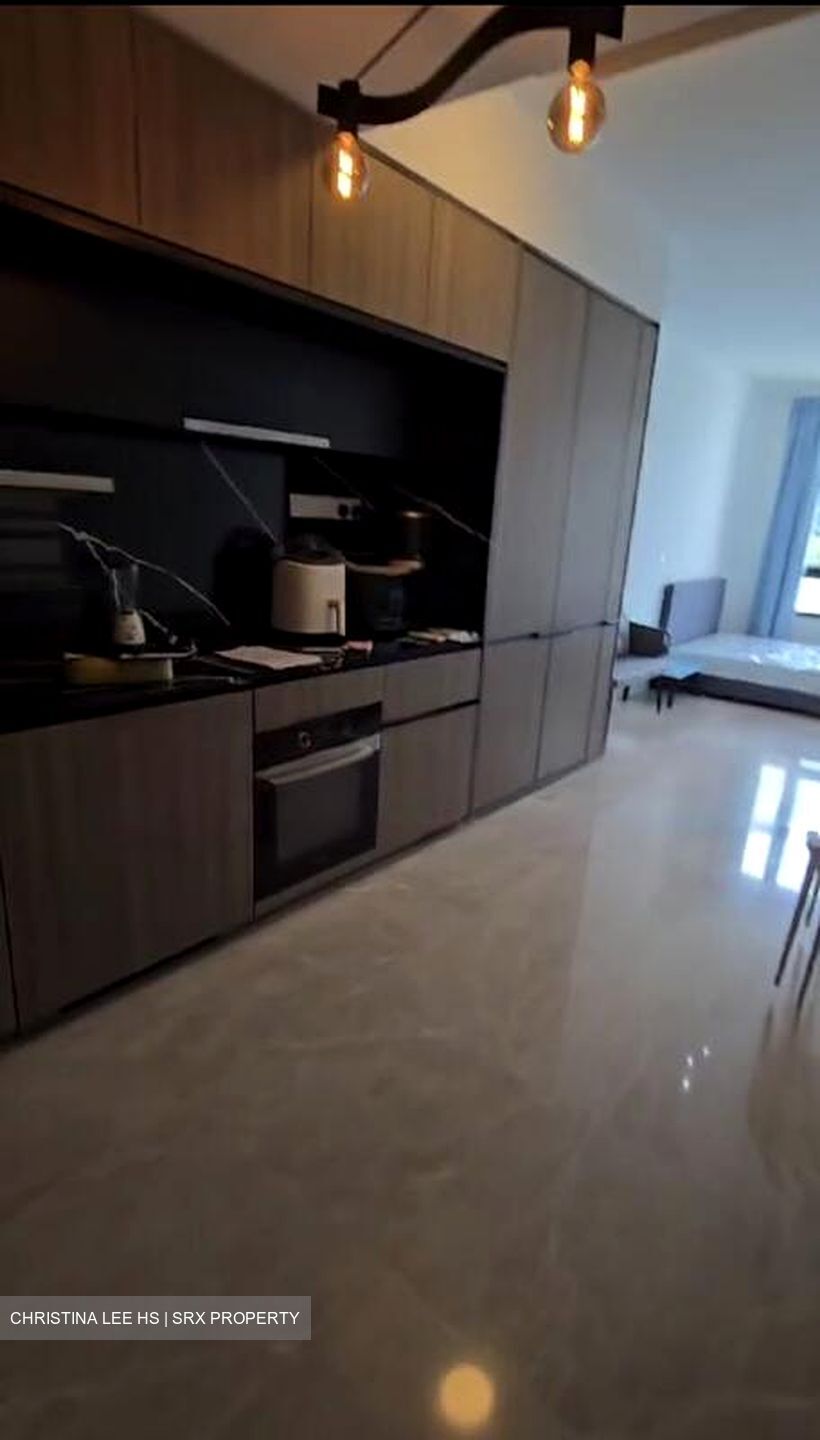 Irwell Hill Residences (D9), Apartment #486673701